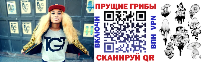 дарнет шоп  Куйбышев  Псилоцибиновые грибы мухоморы 